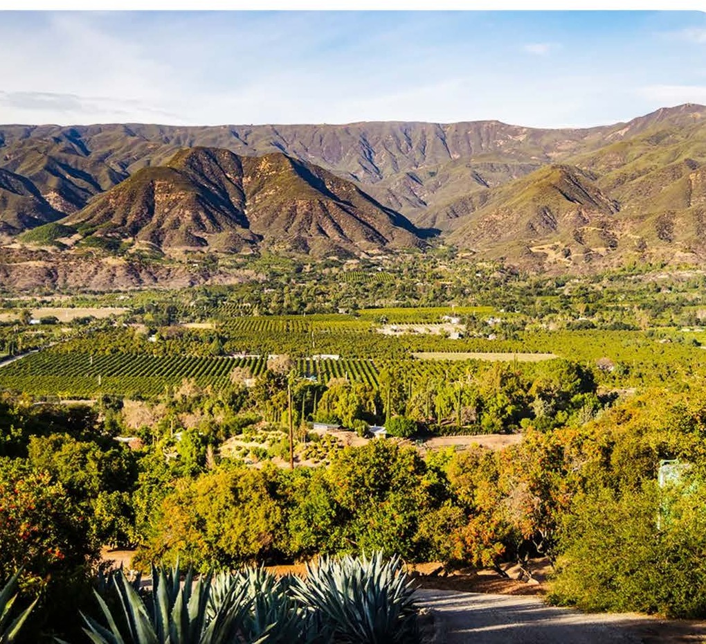 Ojai valley and mountains, near the site of the 2017 Thomas Fire
